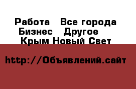 Работа - Все города Бизнес » Другое   . Крым,Новый Свет